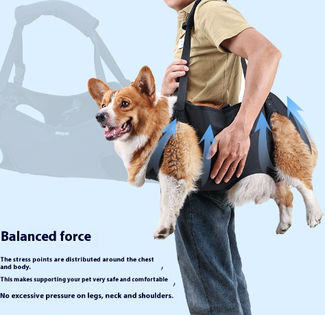 Dog Recovery Travel Support Strap