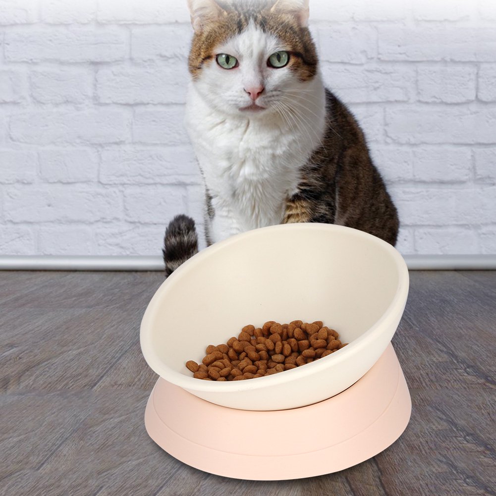 Swiveling Cat Bowl